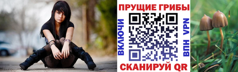 Галлюциногенные грибы MAGIC MUSHROOMS  Кировск 